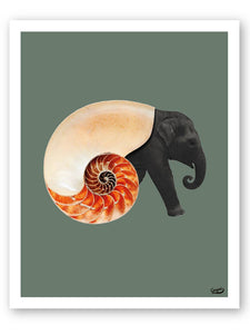 Shellephant Poster