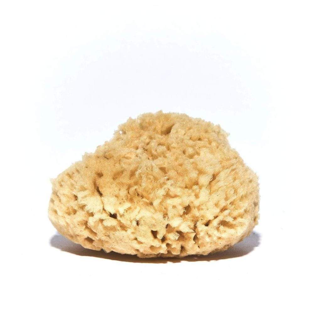 Natural Wool Sponge